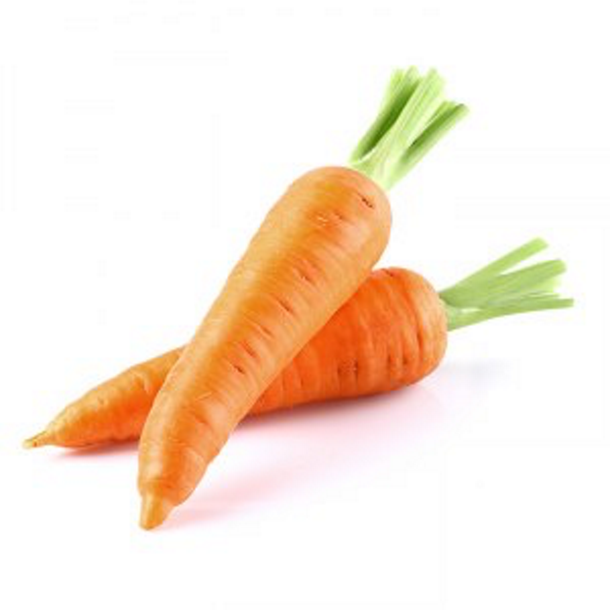 Carottes Troncons Carottes Troncons